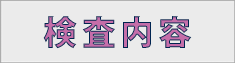 検査内容